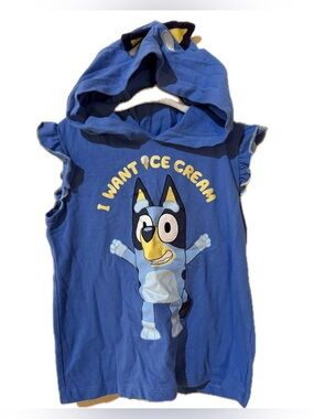 Bluey | I Want Ice Cream Hooded Ruffle Shirt